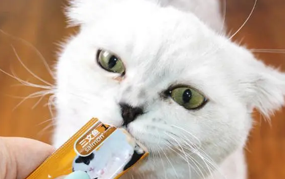 猫咪一次吃几个猫条合适 猫咪一次吃几个猫条合适