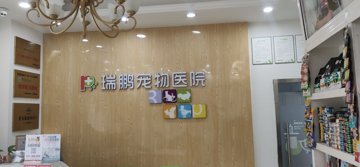 宠物医院哪些好