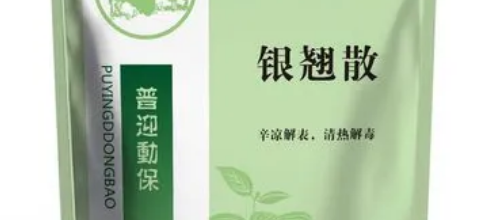 银翘散的主治功效