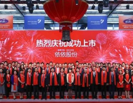 依依股份公司简介 依依股份公司简介