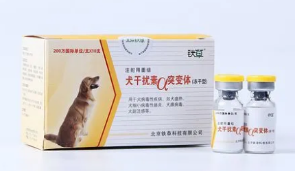 犬细小干扰素使用方法 犬细小干扰素使用方法