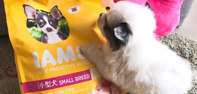 爱慕思iams品牌来自哪里 爱慕思iams品牌来自哪里