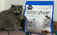 fussycat猫粮蛋白质含量