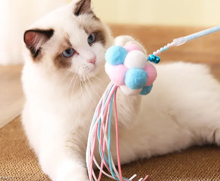 逗猫棒怎么使用 逗猫棒怎么使用