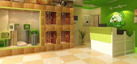 宠物店多少钱加盟