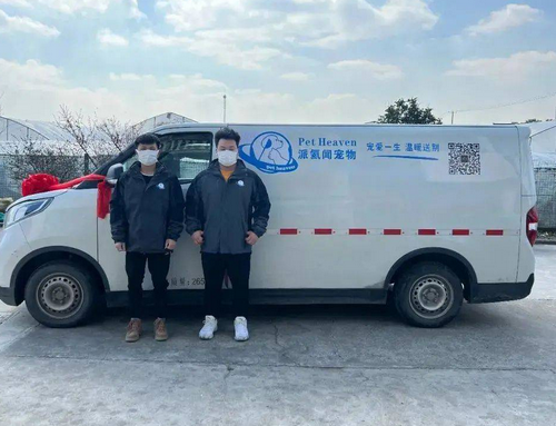 融资丨宠物殡葬服务商派氦闻宠物获数百万元天使轮融资 融资丨宠物殡葬服务商派氦闻宠物获数百万元天使轮融资