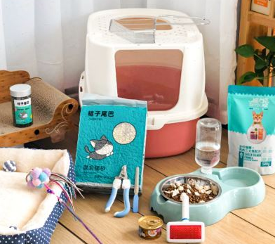 养猫必备的10种用品