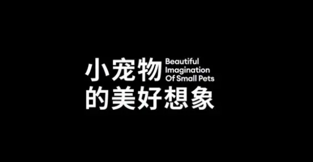 “小宠经济”大热!布卡星如何抢占百亿蓝海市场? “小宠经济”大热!布卡星如何抢占百亿蓝海市场?