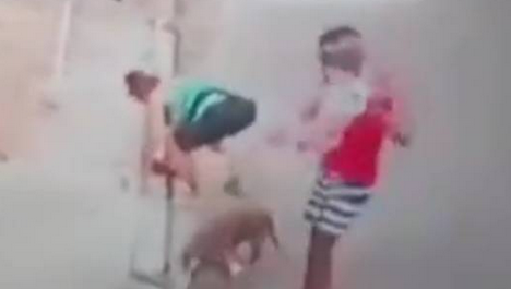 巴西男子从斗牛犬口中救出男童，监控画面记录勇敢一幕 