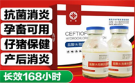 头孢噻呋钠是消炎药吗