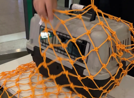 空运宠物价钱 空运宠物价钱