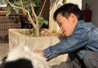 爷爷给孙子买了只小鸡,宝宝非常喜欢 爷爷给孙子买了只小鸡,宝宝非常喜欢