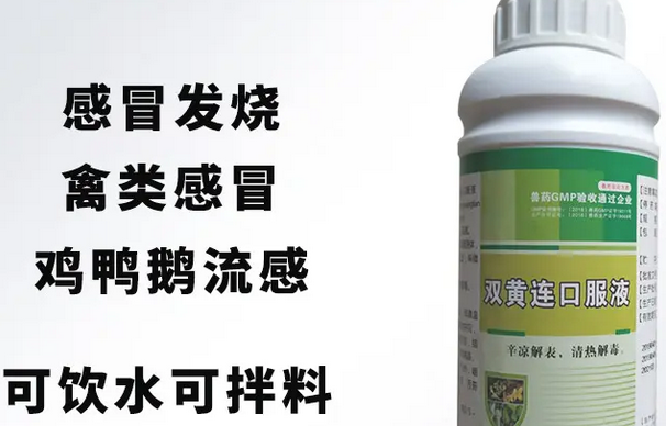 双黄连口服液配合什么药一起吃