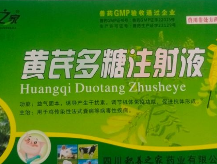 黄芪多糖兽用作用