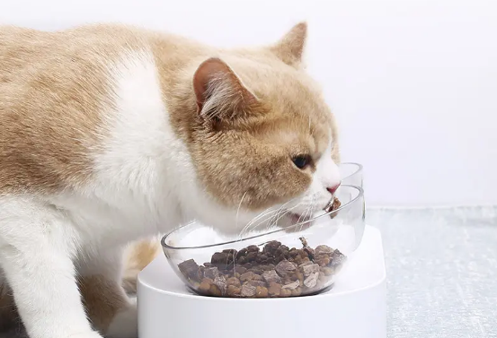 猫狗用过的碗用洗洁精洗过人能用吗
