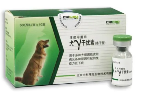 犬干扰素用量