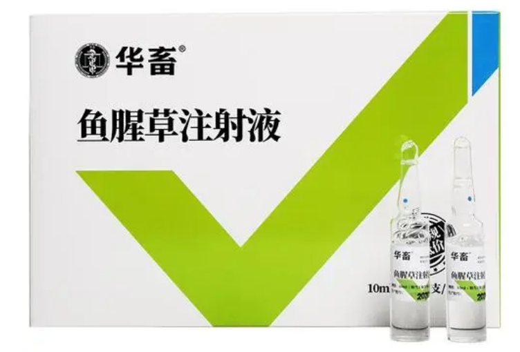 鱼腥草针剂的作用