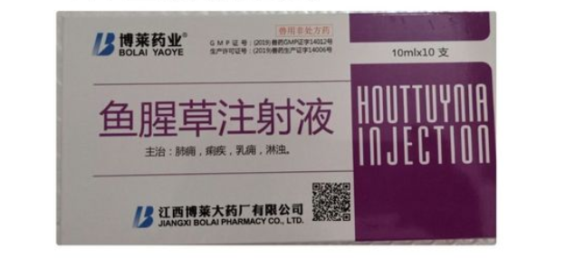 鱼腥草注射注液医生首选怎么用 鱼腥草注射注液医生首选怎么用