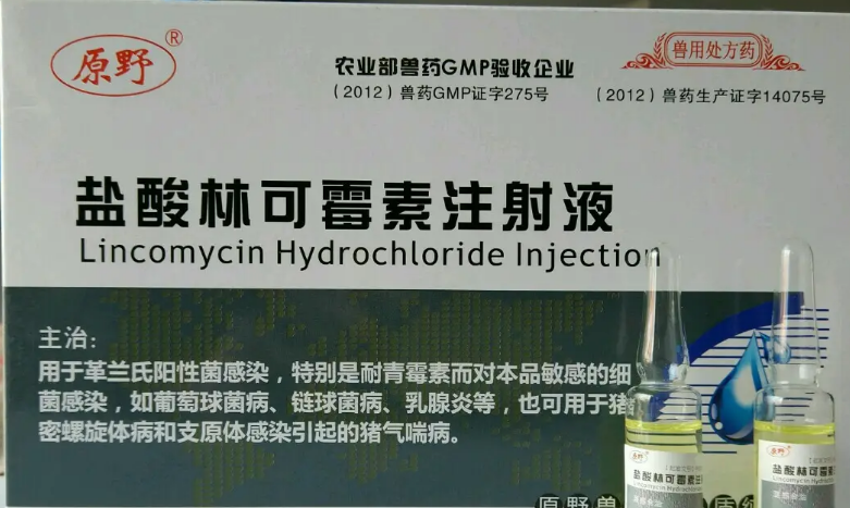 盐酸林可霉素多少钱一盒