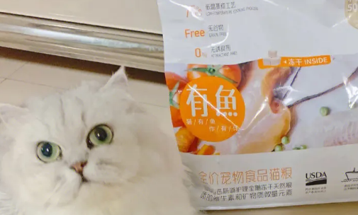 有鱼猫粮什么包装 有鱼猫粮什么包装