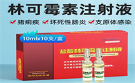 盐酸林可霉素是什么药