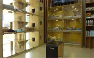 三亚宠物店多吗