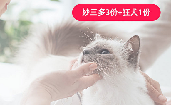 为什么都打妙三多不打猫三联 为什么都打妙三多不打猫三联