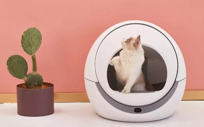Petree高颜值猫砂盆使用感受 Petree高颜值猫砂盆使用感受