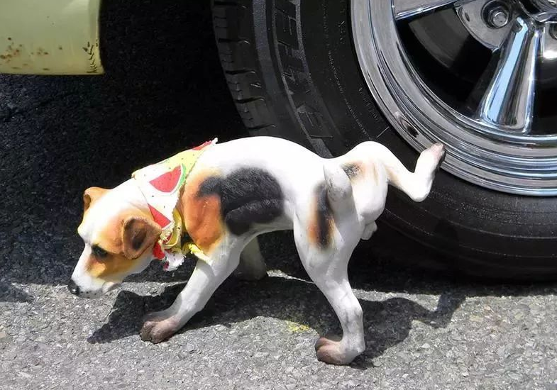 怎么杜绝狗往车轮上撒尿