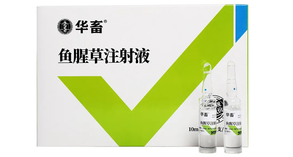 鱼腥草注射液说明书
