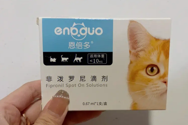 非泼罗尼和阿维菌素哪一个驱虫好