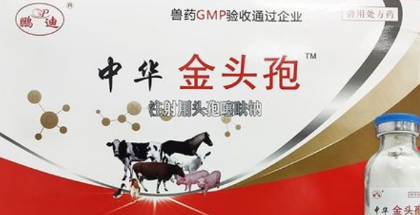 头孢噻呋钠最佳配伍