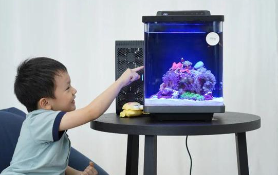将水族缸懒人化、智能化，融资数千万，海享说怎样把景观家居做成一门好生意
