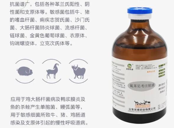 牛犊打氟苯尼考有没有啥副作用 牛犊打氟苯尼考有没有啥副作用