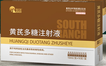 猪用的黄芪多糖的功效与作用