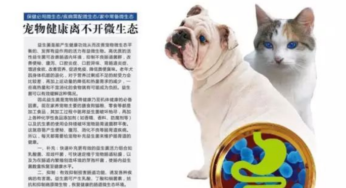 蔡博士产品系列,来看看! 蔡博士产品系列,来看看!