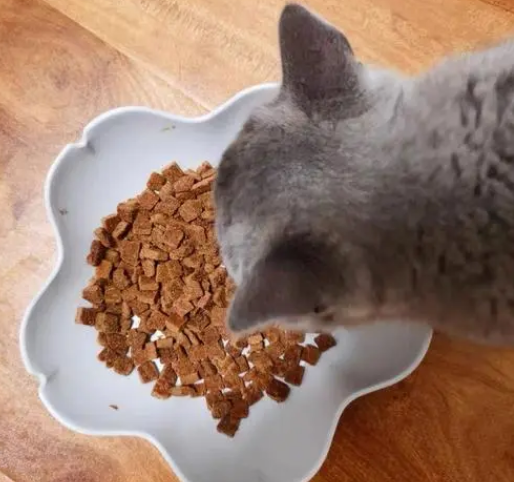 一半猫粮一半鸡胸肉可以吗 一半猫粮一半鸡胸肉可以吗
