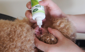 宠耳净滴耳液带你轻松解决猫犬细菌性中耳炎 宠耳净滴耳液带你轻松解决猫犬细菌性中耳炎