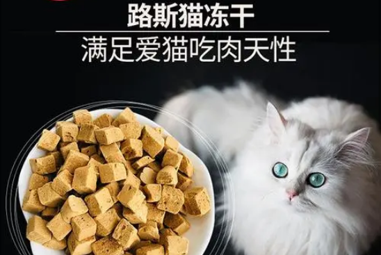 路斯冻干怎么样 路斯冻干怎么样