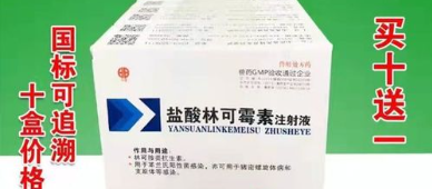 兽用林可霉素主要治什么病