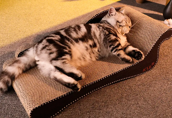 养猫好用的物品 养猫好用的物品