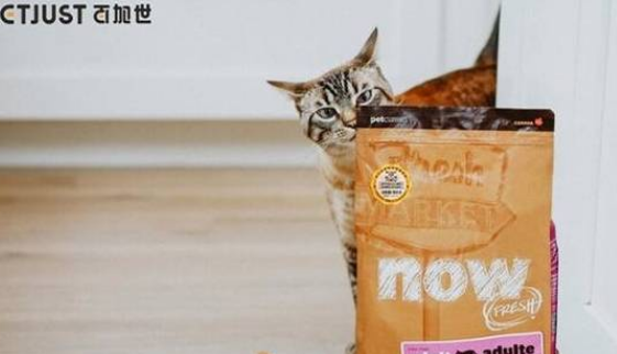百加世NOW FRESH宠物粮，助力宠物多年龄段成长 