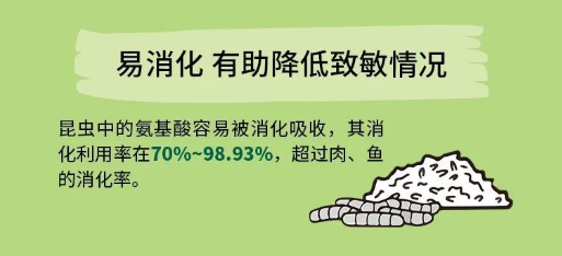 新品｜一款解决宠物过敏问题的德国进口昆虫蛋白宠粮
