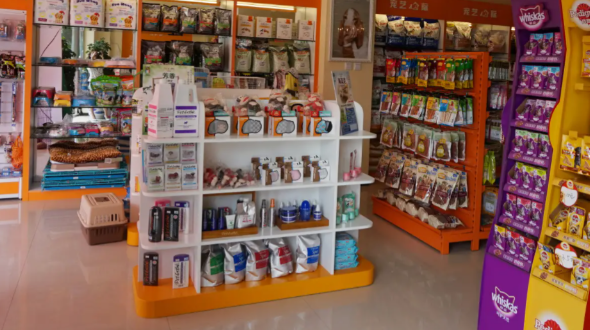 加盟哪家宠物店比较好