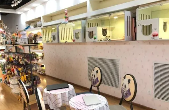 宠物店连锁加盟费用