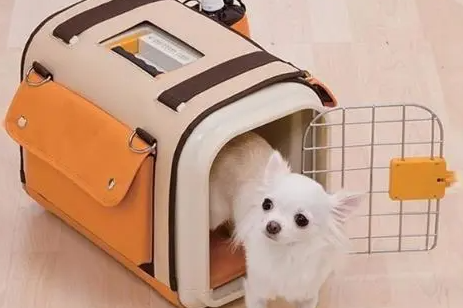顺丰宠物快递怎么寄便宜 顺丰宠物快递怎么寄便宜