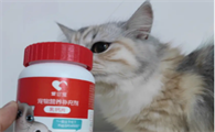 猫咪为什么要补充钙