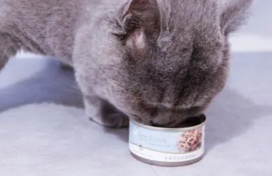 猫咪罐头为什么炒着吃呢 猫咪罐头为什么炒着吃呢