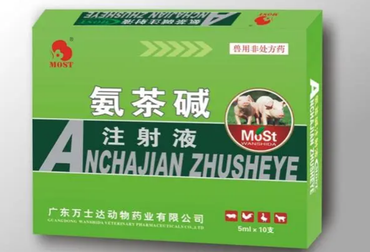 氨茶碱的最佳配伍 氨茶碱的最佳配伍