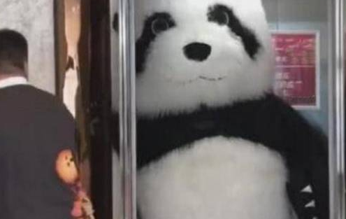 小姐姐电梯偶遇“大熊猫”,瞬间被圈粉,只是进电梯的时候尴尬了 小姐姐电梯偶遇“大熊猫”,瞬间被圈粉,只是进电梯的时候尴尬了